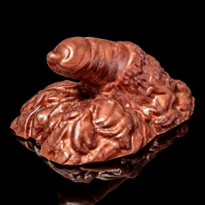 Fenrir, Lycan Packer - Solid Color