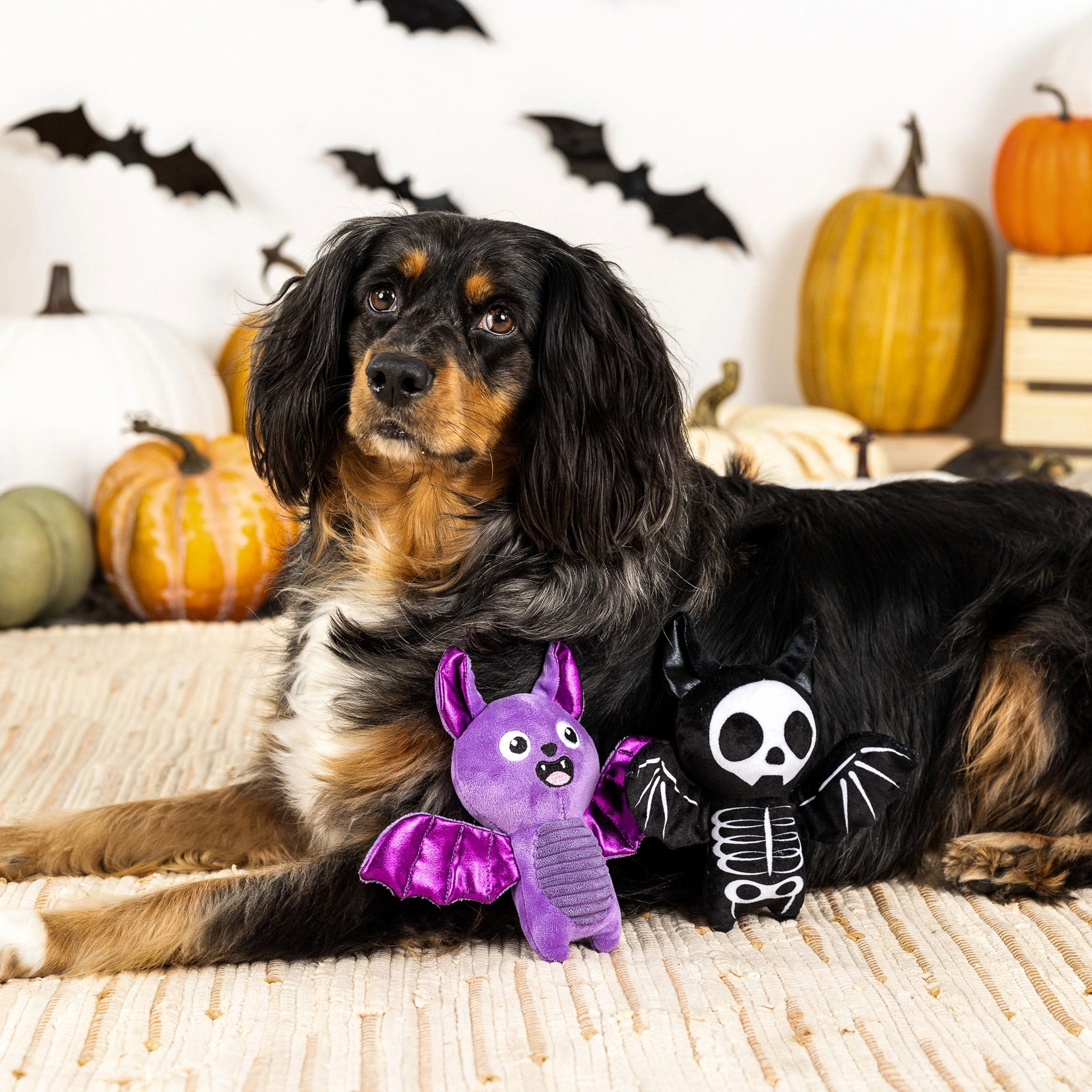 Fringe Bat to the Bone Multi Dog Toys