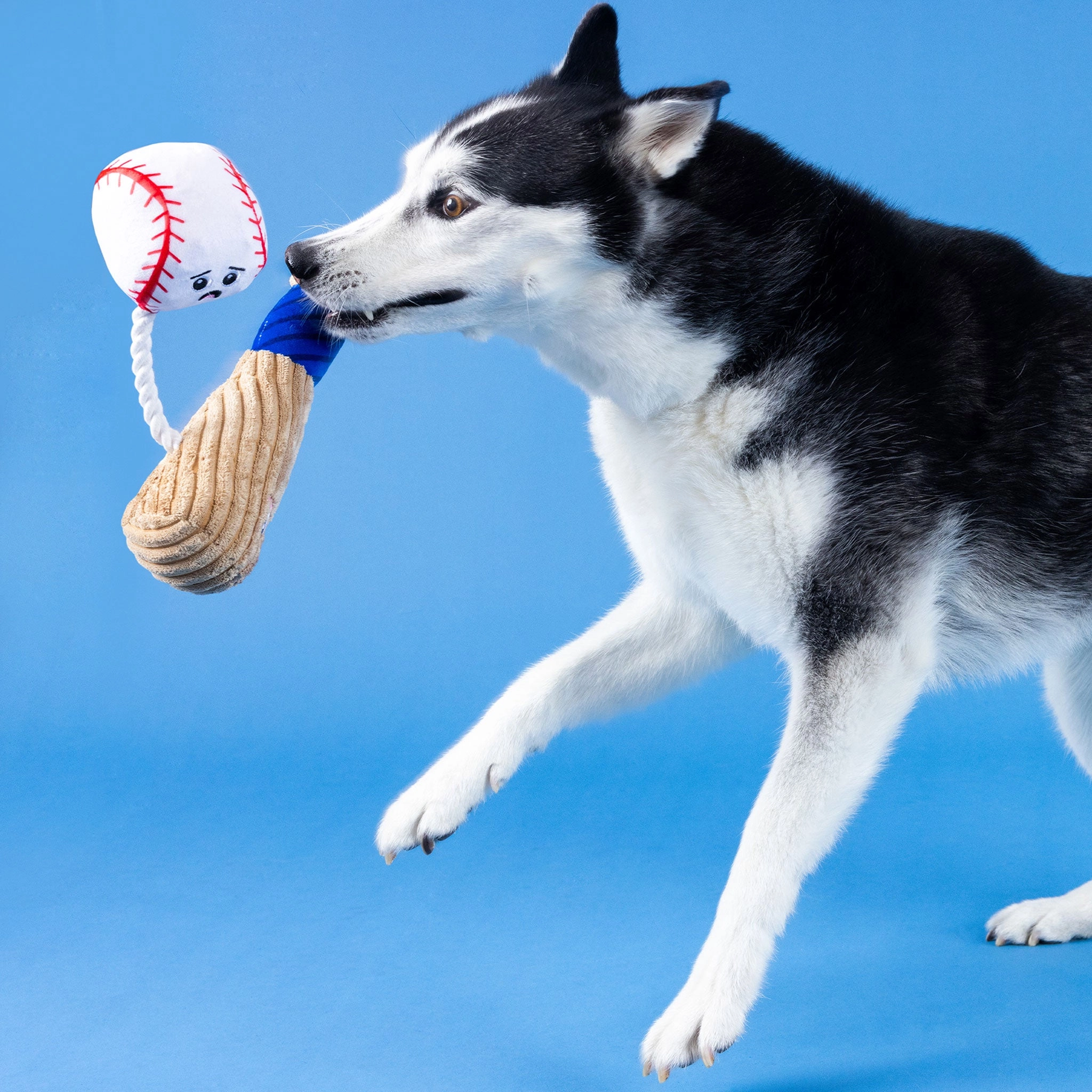 Fringe Batter Up Dog Toys