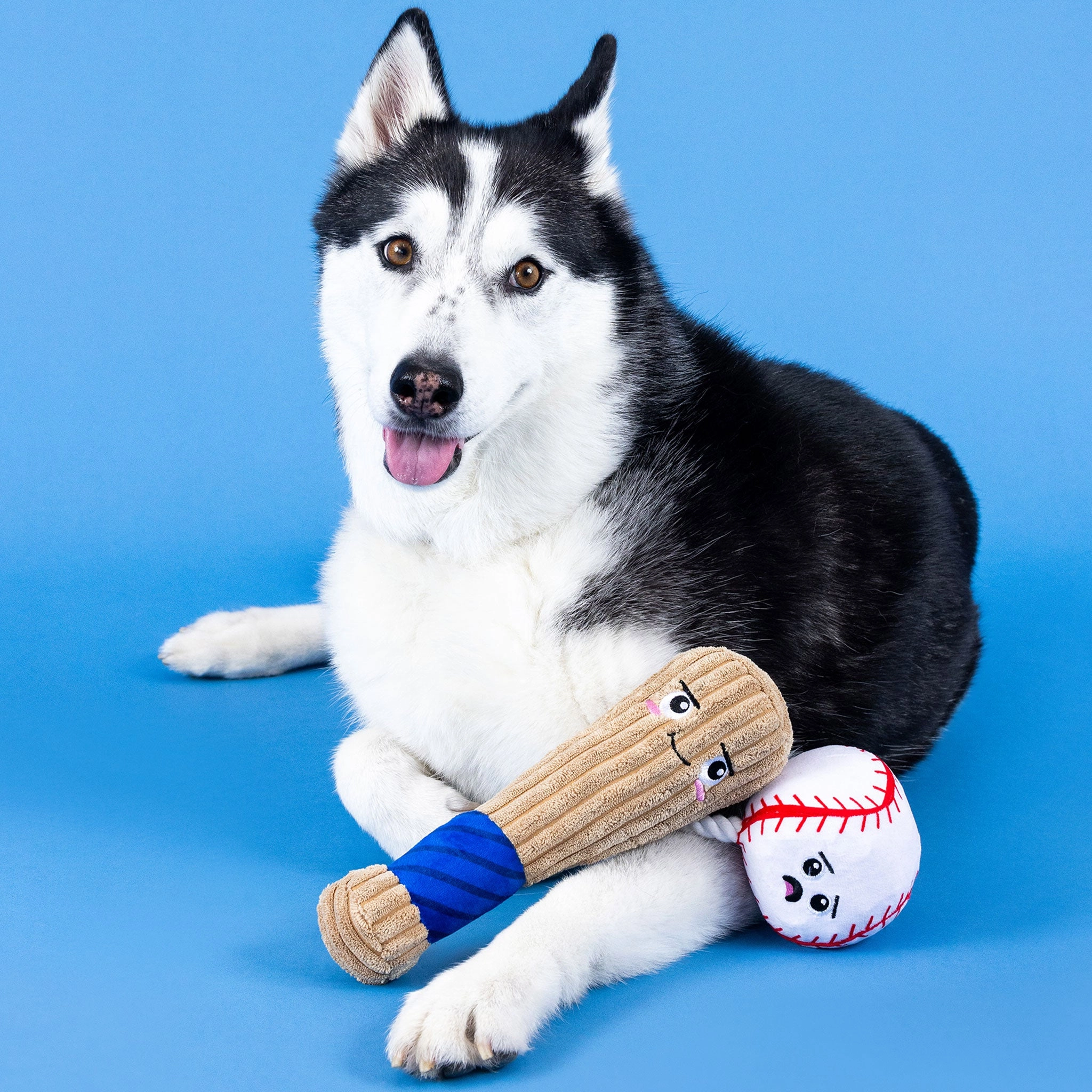 Fringe Batter Up Dog Toys