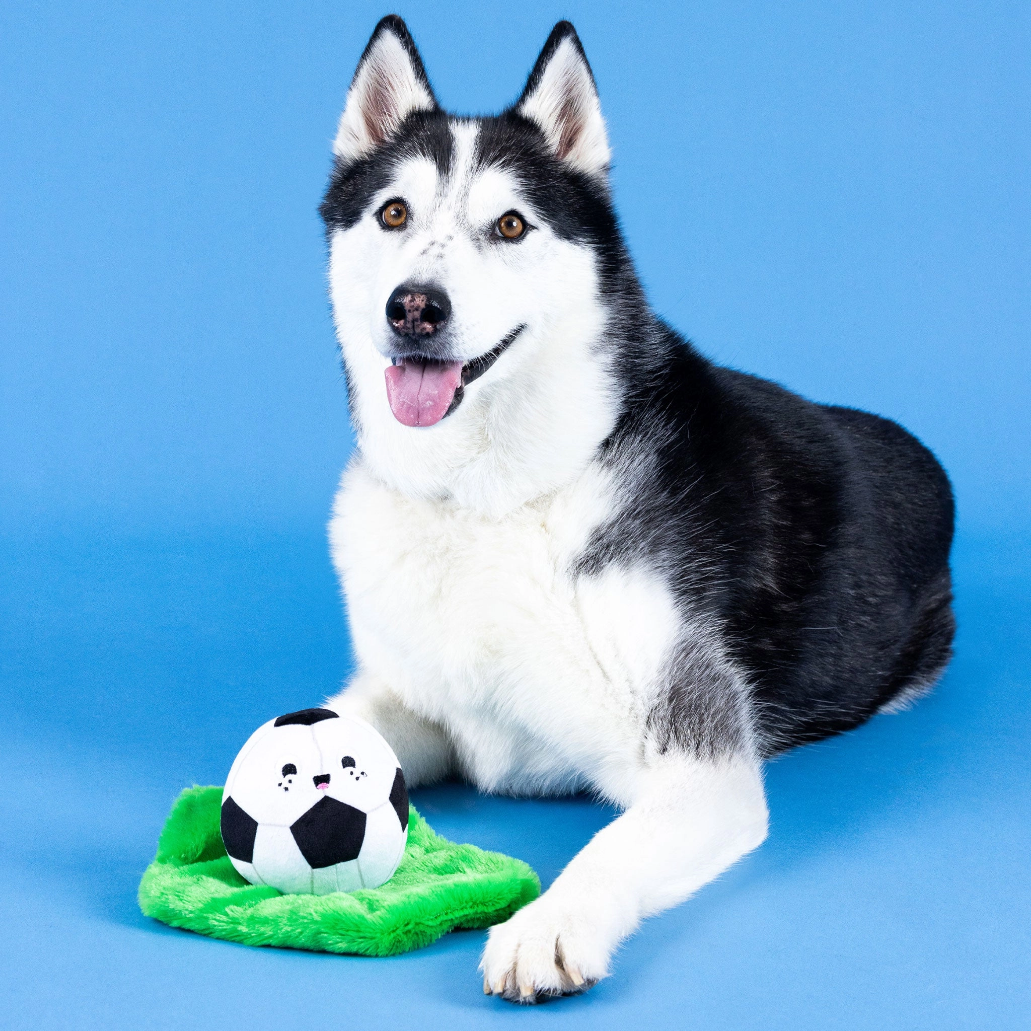 Fringe Just Kick It Soccer Dog Toy