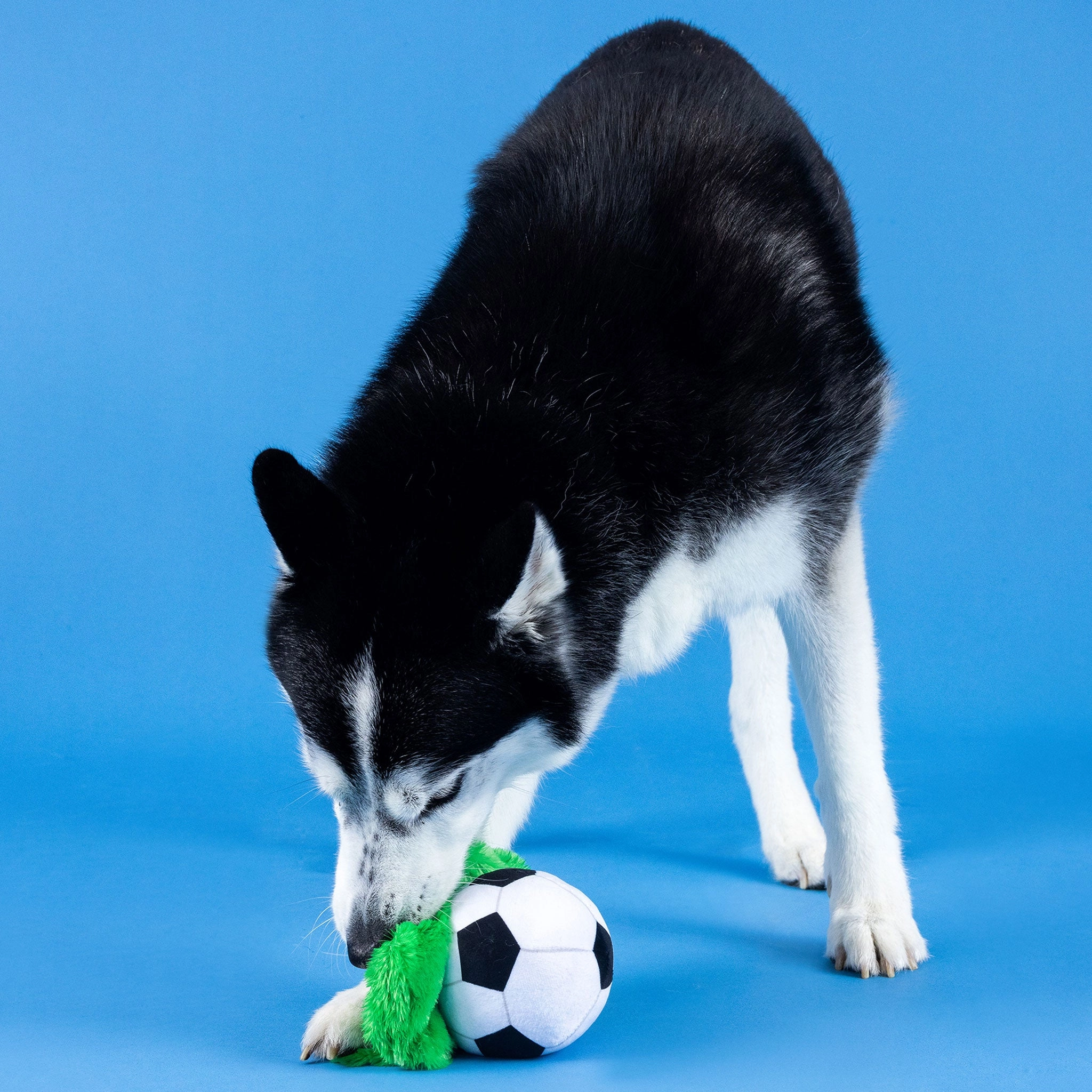 Fringe Just Kick It Soccer Dog Toy