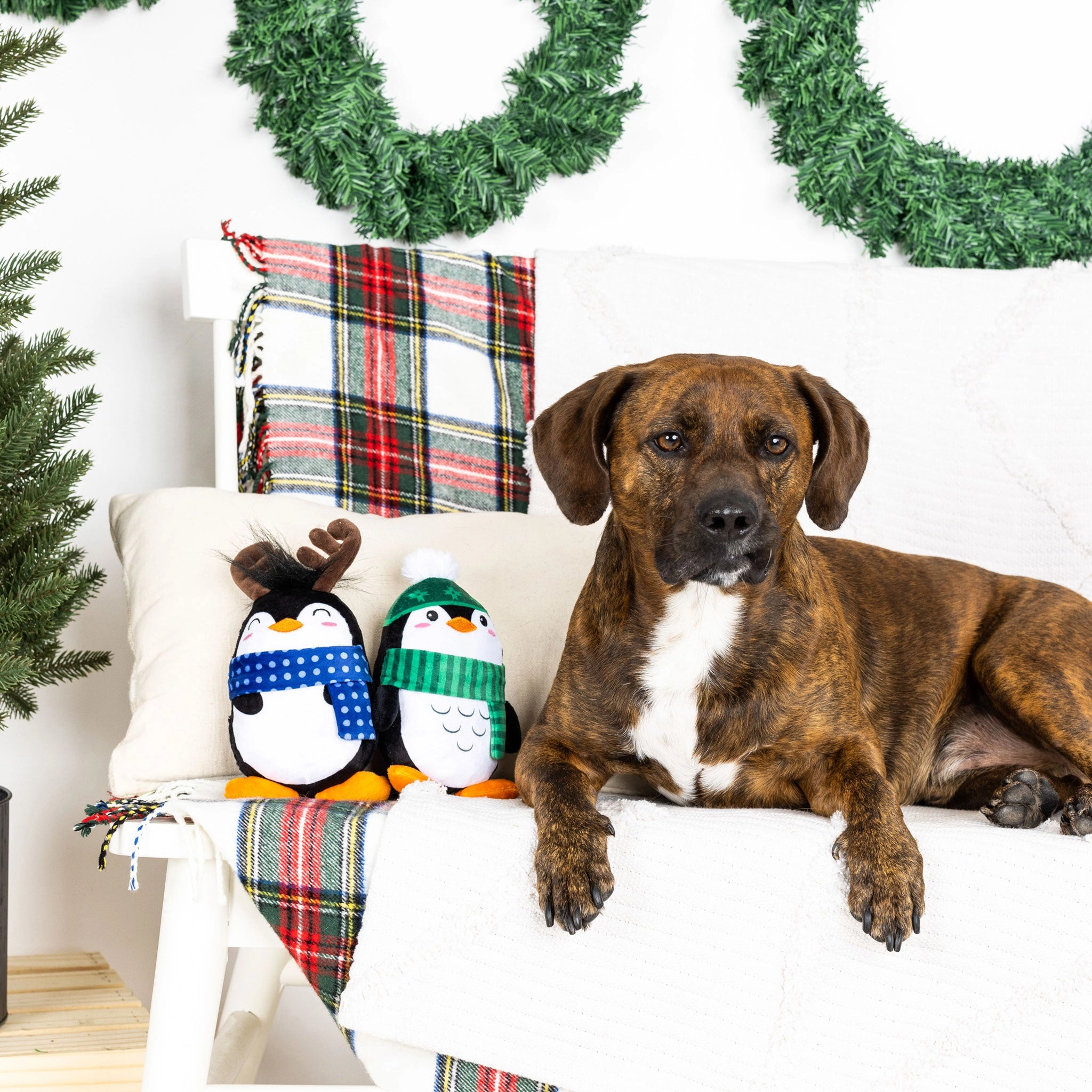 Fringe Winter Waddle Land Multi Dog Toys