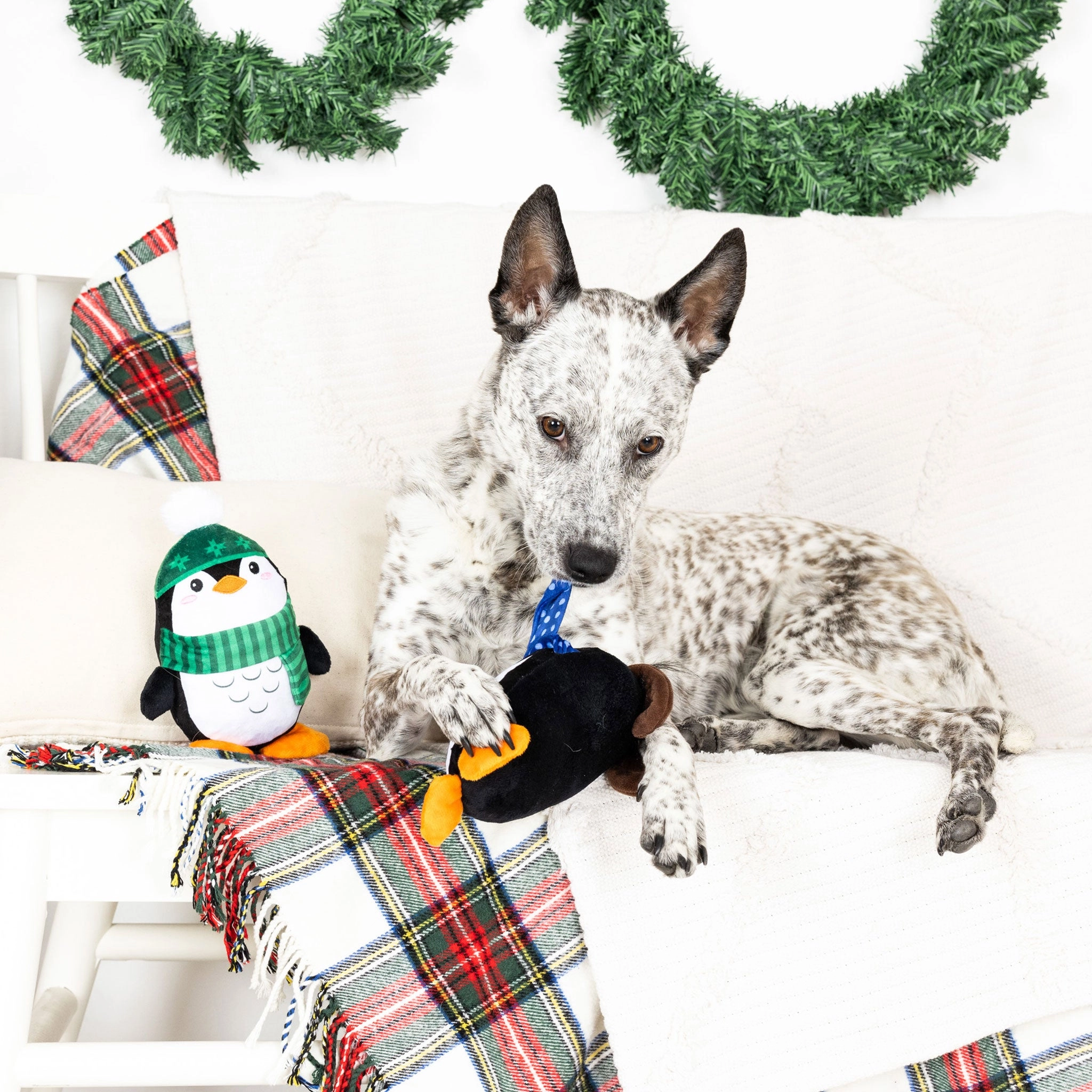 Fringe Winter Waddle Land Multi Dog Toys
