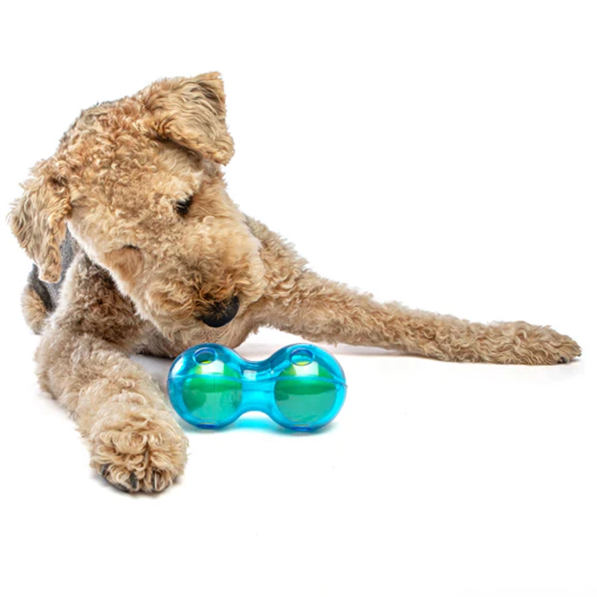 Guru Duo Ball Blue Dog Toys