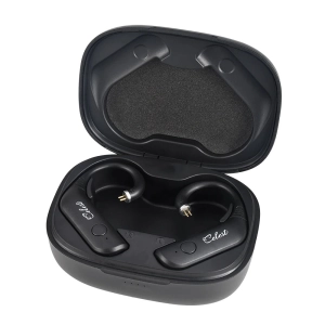 Kinera Celest T1 Wireless BT 5.3 TWS Ear Hook