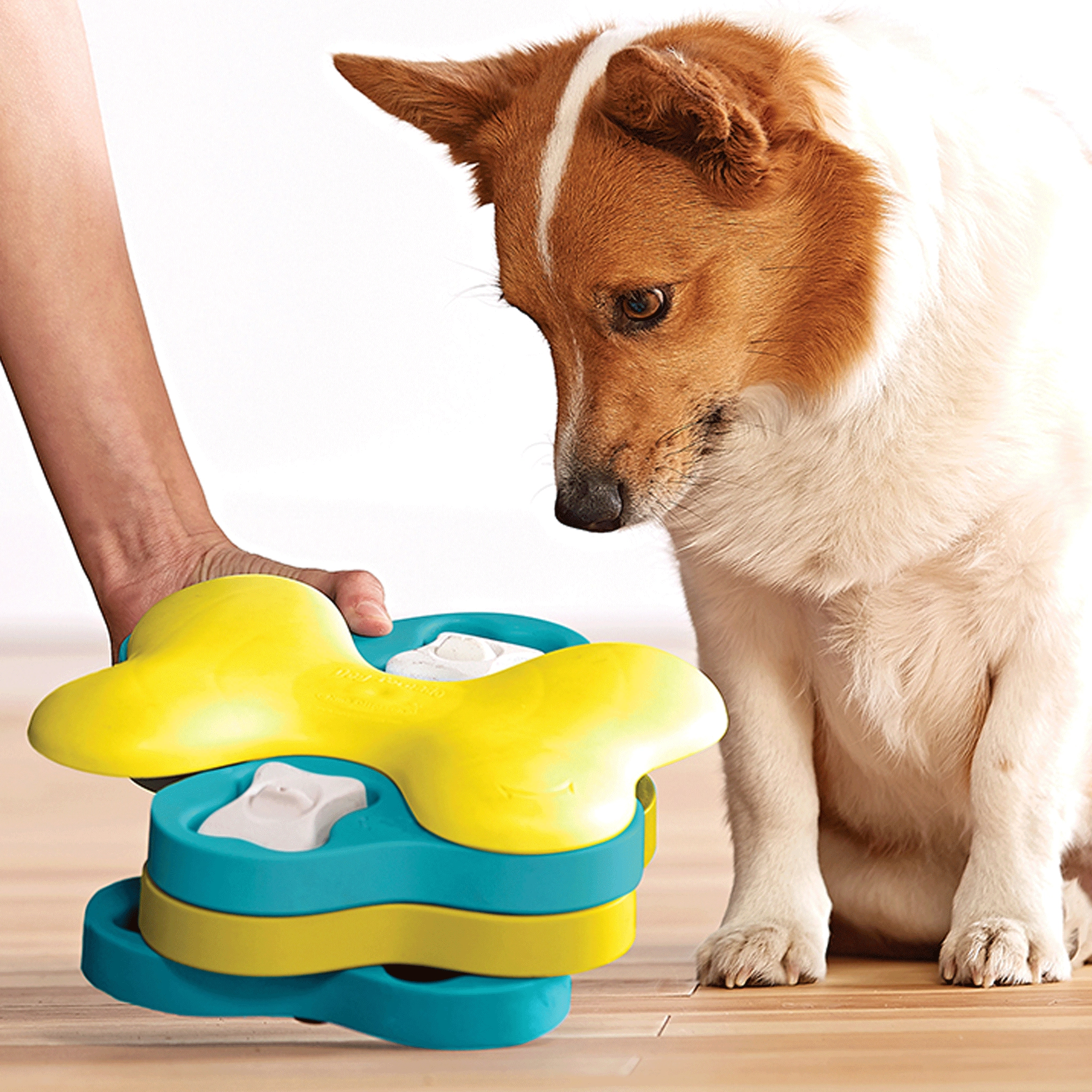 Nina Ottosson Dog Tornado Blue Dog Apparel