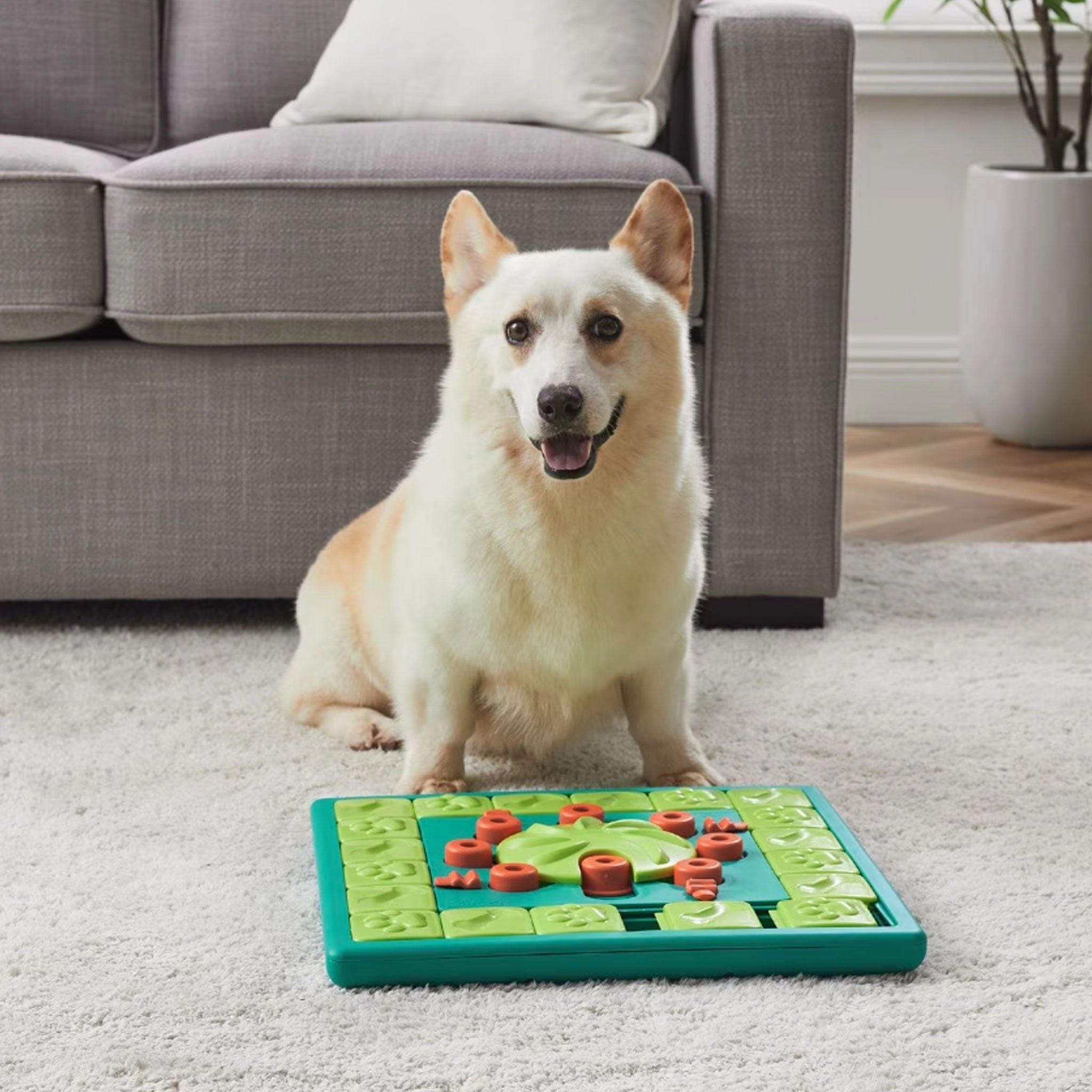 Nina Ottosson Multipuzzle Green & Blue Dog Toys