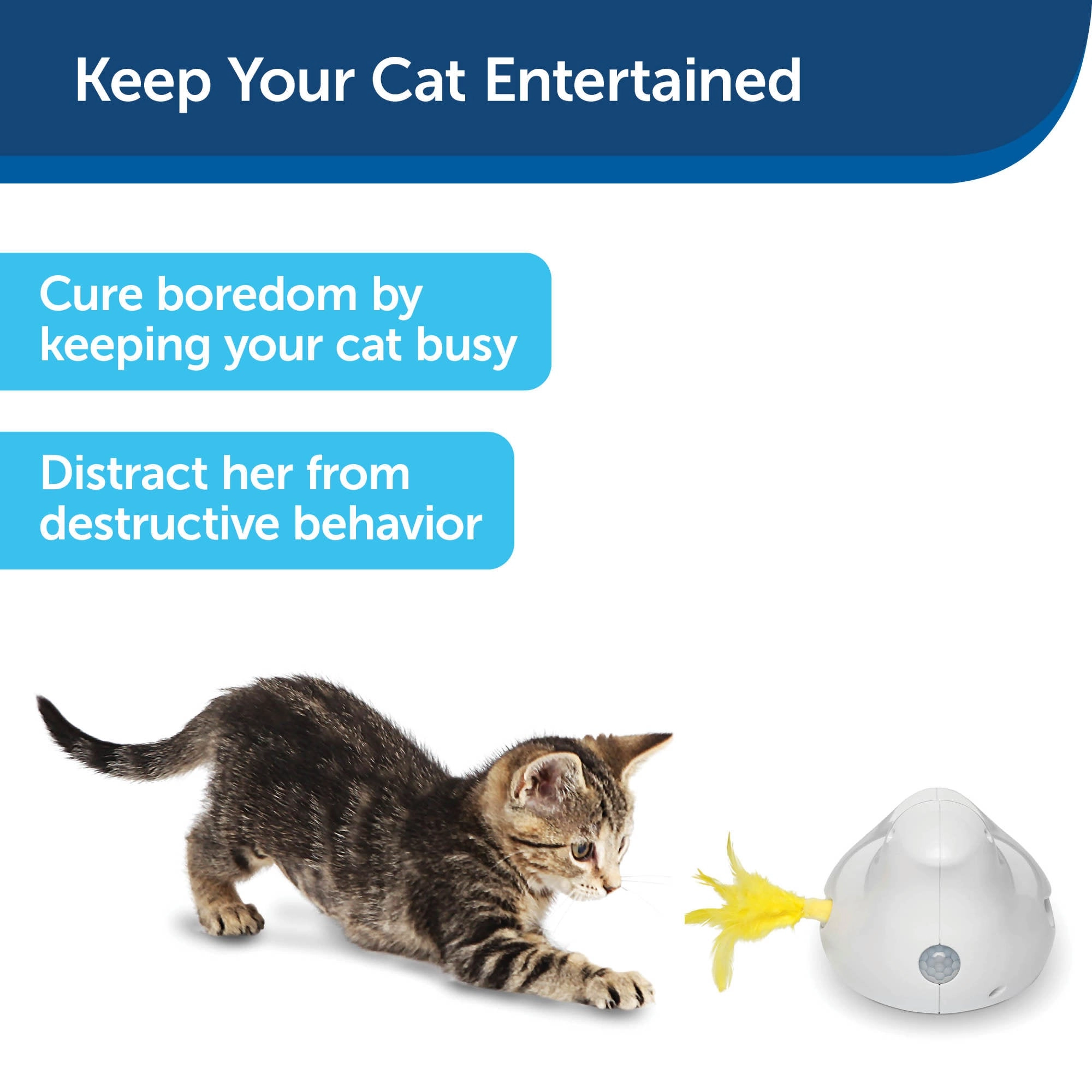 PetSafe® Peek-a-Bird™ Electronic Cat Toy