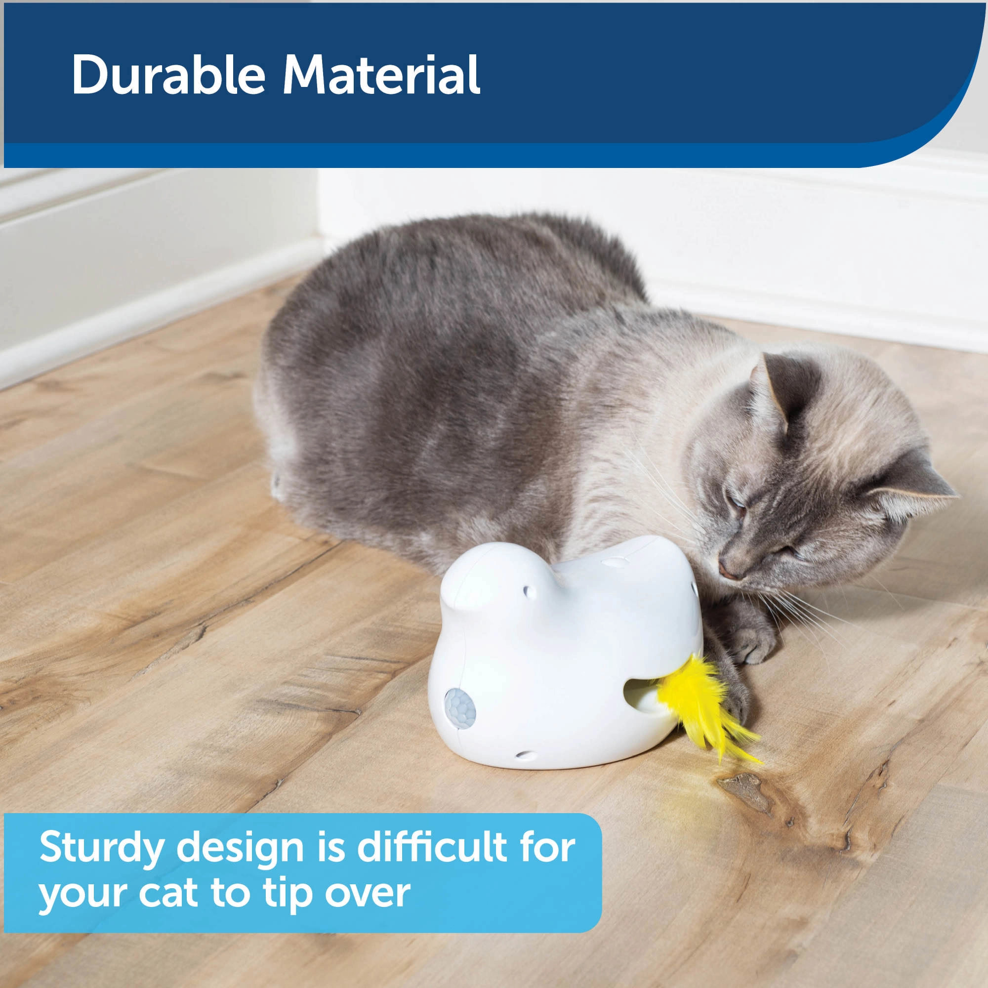 PetSafe® Peek-a-Bird™ Electronic Cat Toy
