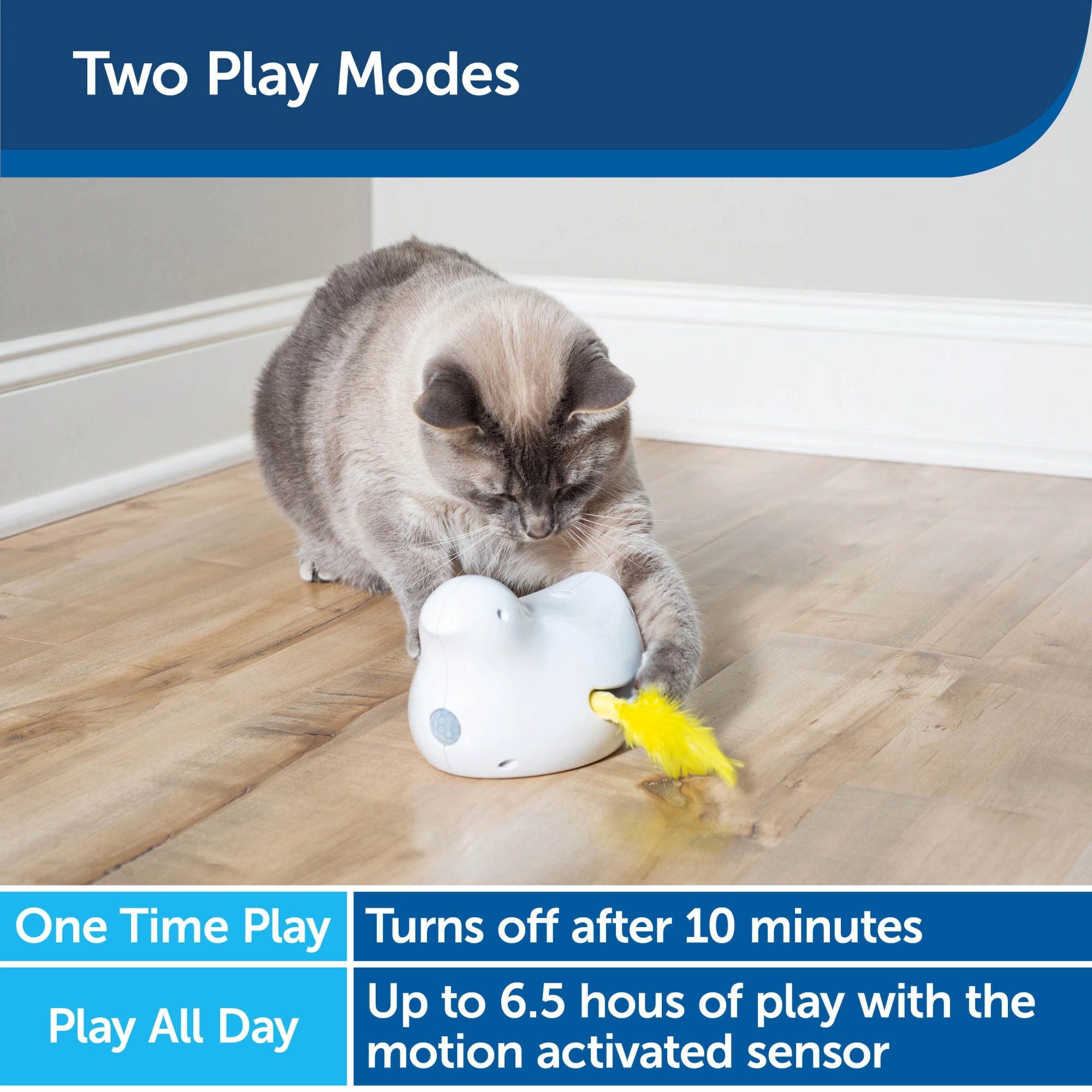 PetSafe® Peek-a-Bird™ Electronic Cat Toy