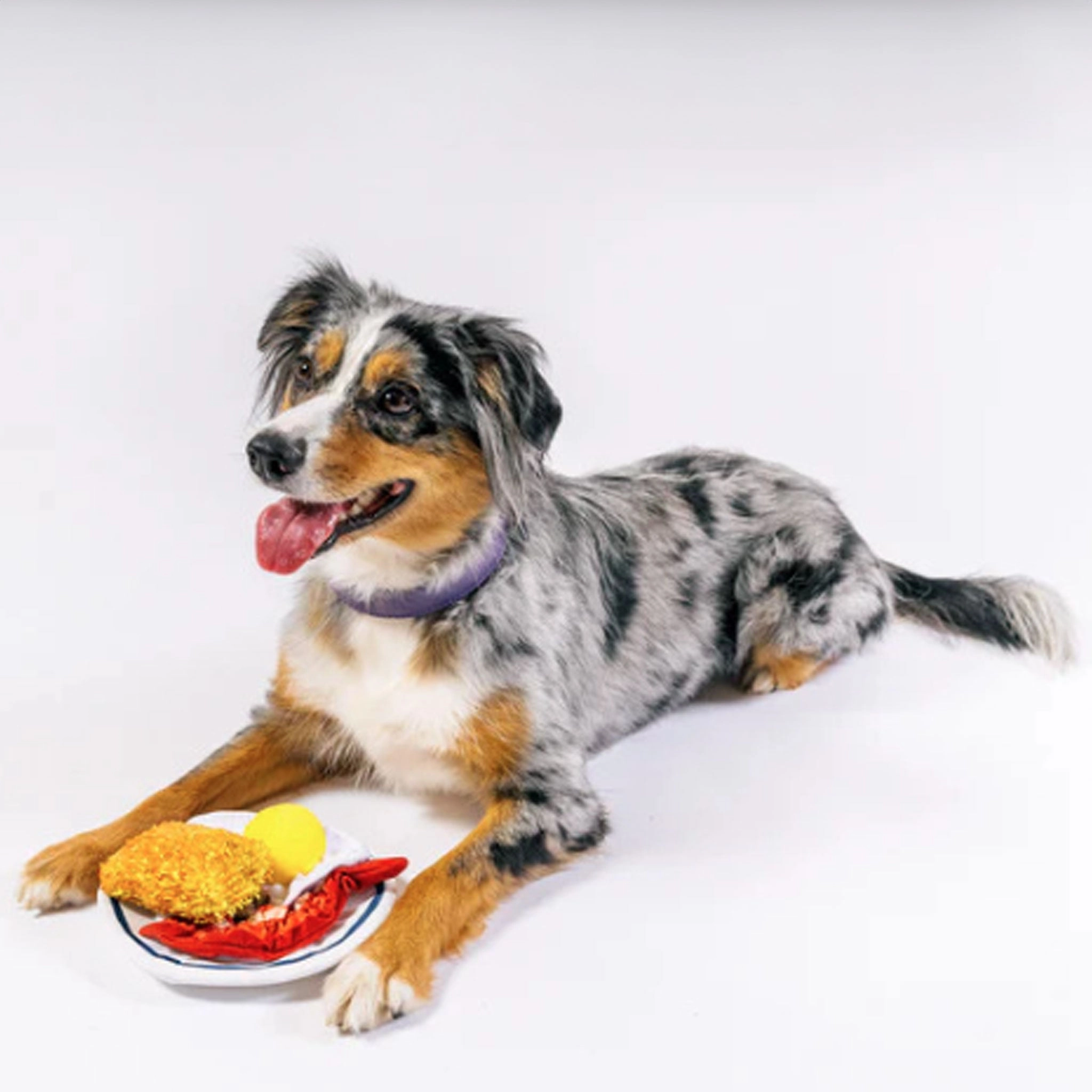 P.L.A.Y. IHOP Breakfast Multi Dog Toys