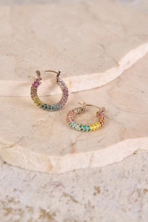 Rainbow Hoop Earrings - Multi
