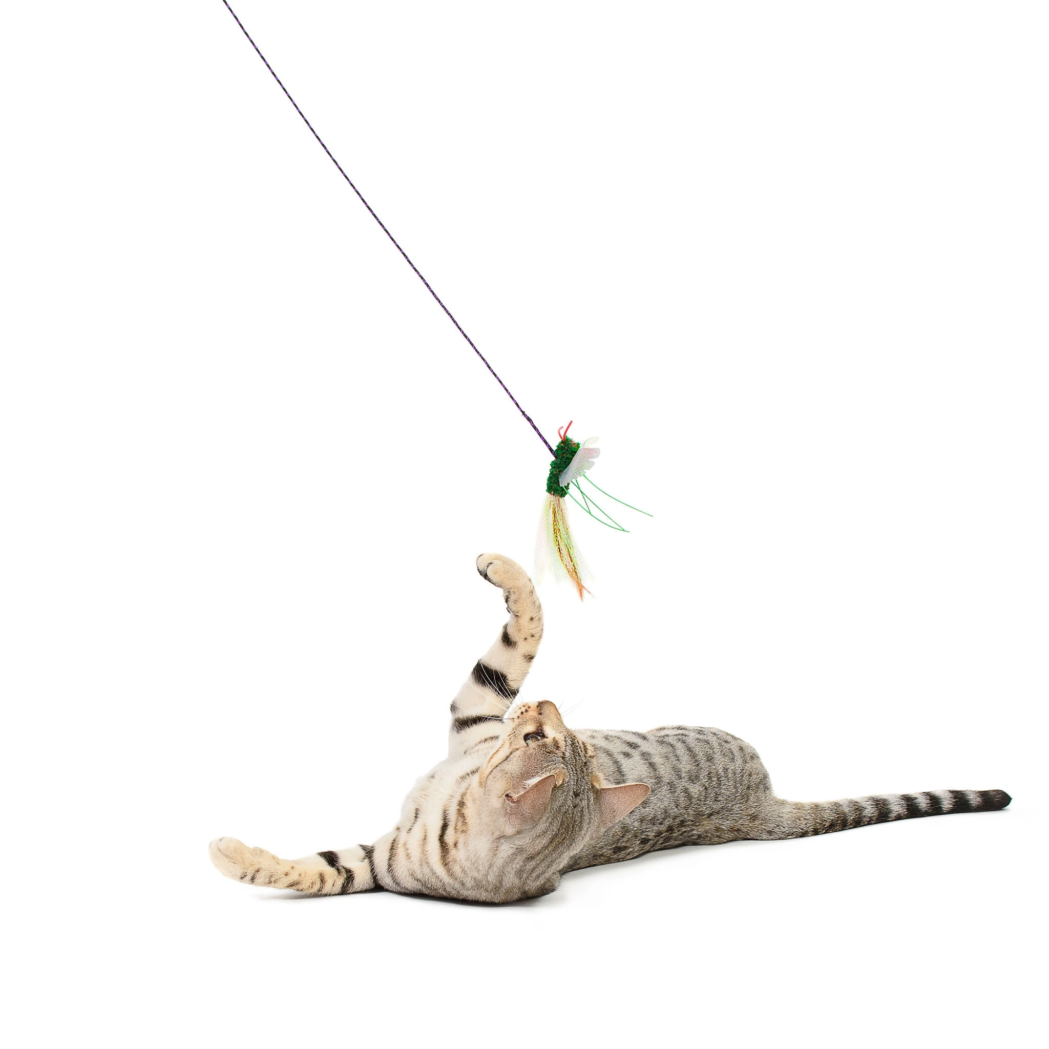 Rompicatz BugzBird Multi Cat Toys