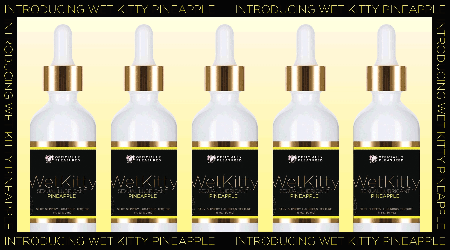 Wet Kitty Pleasure Lube 3 Pack Bundle Deal