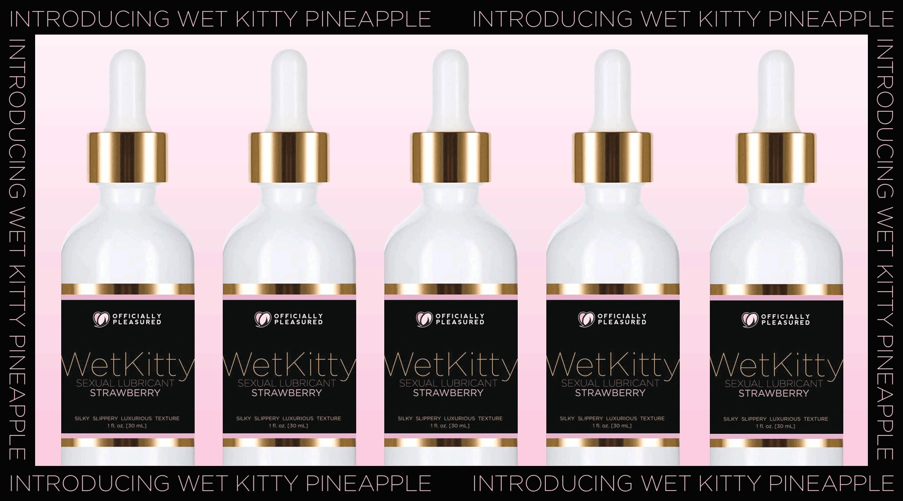 Wet Kitty Pleasure Lube 3 Pack Bundle Deal