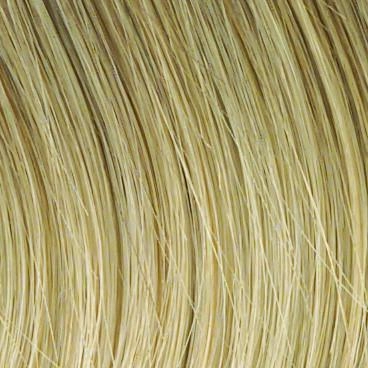 Work It Wig by Raquel Welch | Synthetic (Lace Front Mono Top)